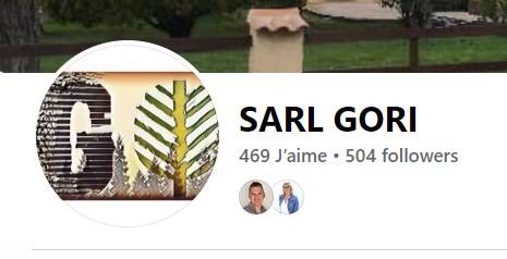 Jardinier spécialisé dans l'élagage Noves 13 Gori Père et Fils